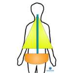 Four Ways to Stop Spine Pain Before It Starts