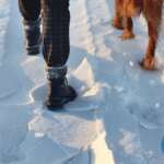 Getting in Shape for Winter