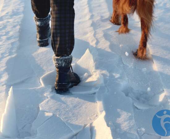 Getting in Shape for Winter