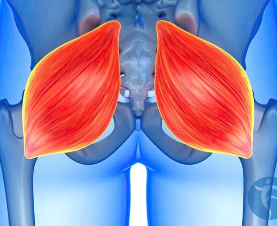 Healthy Glutes Make for Happy Hips