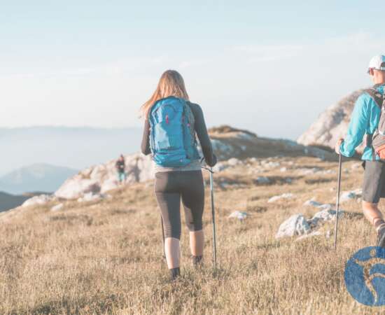 Do I Need Physical Therapy 7 Signs It May Be Time