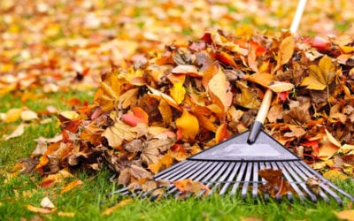 Enjoy Fall Raking Without Injury