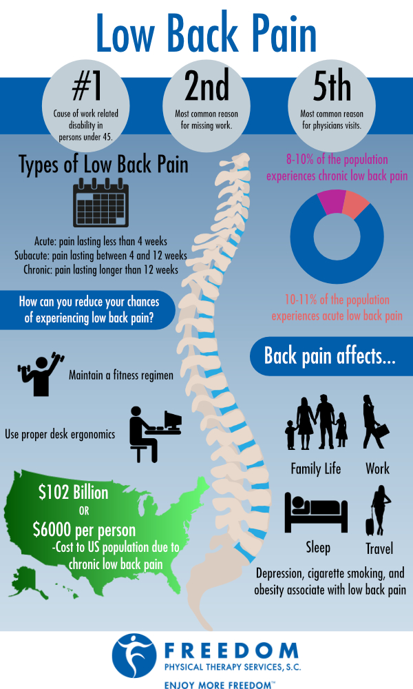 Low Back Pain infographic