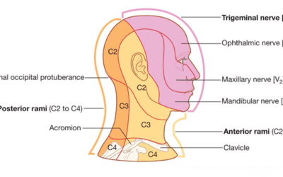 Trigeminal Neuralgia (TN)