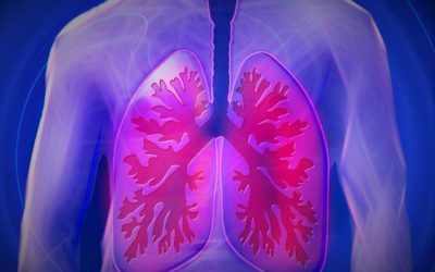 Top 5 Troublemakers for Lungs and How to Avoid Them